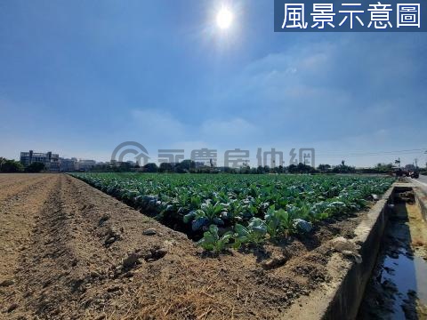 橋頭區稀有釋出開心農場#特定農業區#方正農地 高雄市橋頭區仕隆段