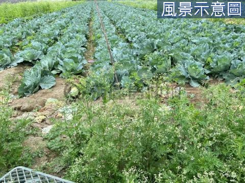 岡山筧橋面寬水質佳有大電好棒棒農地 高雄市岡山區軍校段