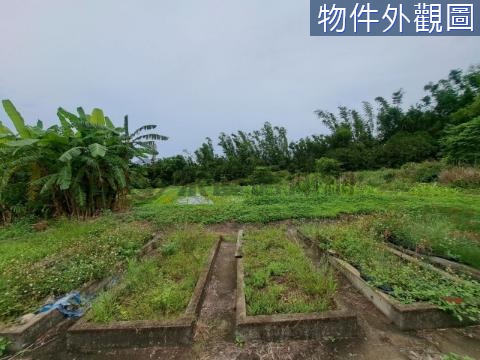 苗栗-苑裡    新桃花源-建地[甲建] 苗栗縣苑裡鎮南山段