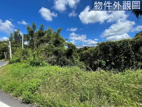 龍崎區臨162-1鄉道1.9甲超大林業用地 台南市龍崎區崎頂段