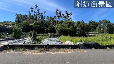 專賣~草屯東方喜悅祥龍點睛田園農地 南投縣草屯鎮青宅段