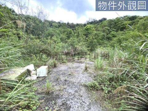 秀林三棧便宜原住民保留地17F844 花蓮縣秀林鄉道拉斯段