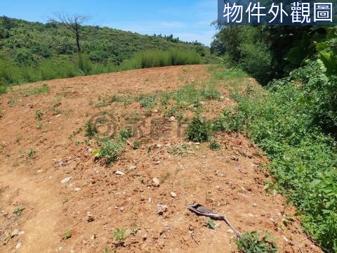 三芝小坑子農土建 新北市三芝區錫板段小坑子小段