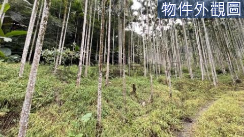 (吉)三峽成福段超便宜美農地B 新北市三峽區成福段成福小段