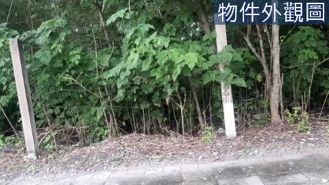 田中高鐵站產專一80坪建地-.適一戶小型工廠用地 彰化縣田中鎮高鐵段