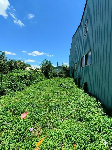 公園旁增值建地 南投縣埔里鎮埔里段信義小段