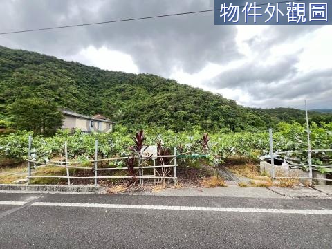 宜蘭員山可蓋資材室雙面路優質農地 宜蘭縣員山鄉枕山一段