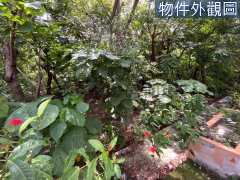 田中文教園區附近正15米路大建地.. 彰化縣田中鎮中正段