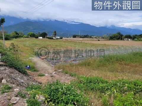 富里平坦山坡農地F107 花蓮縣富里鄉富山段