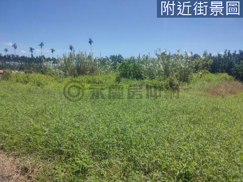 柴裡小而美農地 雲林縣斗六市溝子埧段柴裡小段