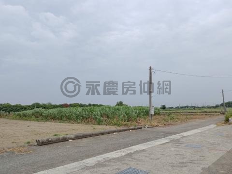 台19甲地形方正農地好利用 台南市新營區太子宮段竹圍子小段