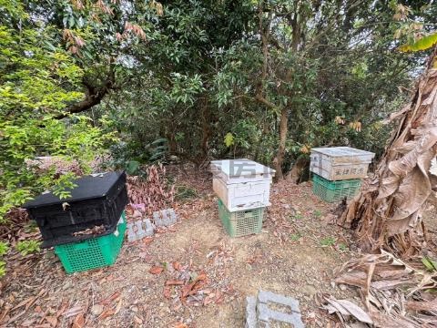 太平頭汴坑🌳合法資材室養蜂🐝樂活養生農地 台中市太平區頭汴坑段