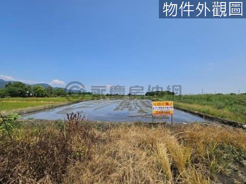 三星鄉貴林段超大地坪好規劃優質美農地 宜蘭縣三星鄉貴林段