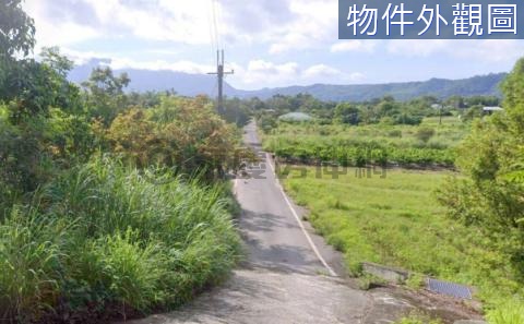 台東鹿野景觀農地 台東縣鹿野鄉坪頂段