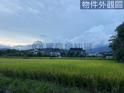 員山2分半大面寬背山環境優美農地 宜蘭縣員山鄉同新段