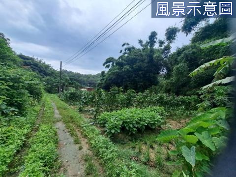 【青青草原】超級大農地就在溜滑梯附近 新竹市新竹市香村段