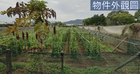 V.花海旁邊活路農三用地,資產規劃首選！ 台中市新社區大南段大南小段