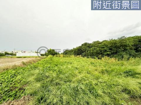 佳里子龍與神同行時來運轉快樂農地 台南市佳里區子龍段