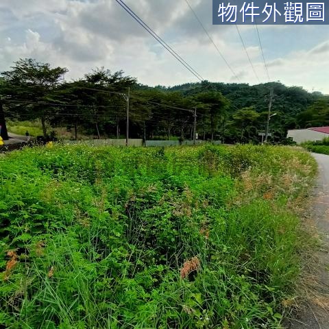 霧峰區萊園段丙建.204 台中市霧峰區萊園段