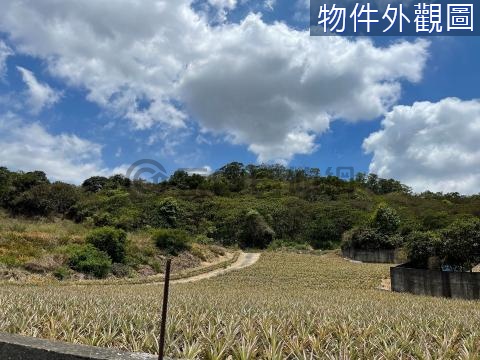 義大旁4米路鳳梨田~農牧用地 高雄市大樹區和山段