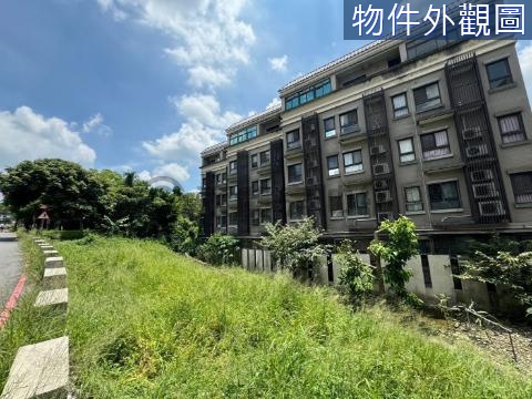 許願墅近毅藝文商圈美裝潢高檔別墅 桃園市桃園區向善街