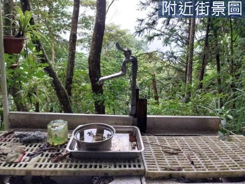 橫山桐花隱匿山居 (買地送屋兩套房)水電全 新竹縣橫山鄉濫子段薯園小段