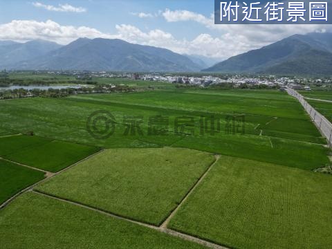 台東池上鄉大坡池最美景觀超值建地E010 台東縣池上鄉大池段