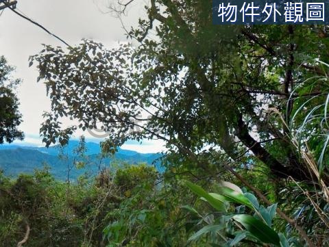 三尖山林地(七) 苗栗縣造橋鄉大桃坪段