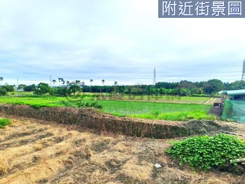 吉安田園山景百坪建地14E117 花蓮縣吉安鄉福吉段