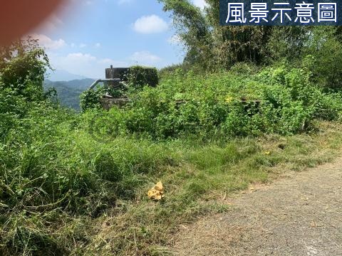 苗栗卓蘭鎮盛產水果的山坡保育地 苗栗縣卓蘭鎮新坪頂段