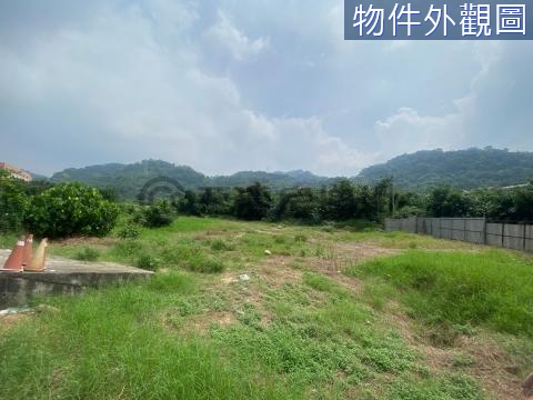 潭子雙面角地臨聚興產業園區多用途農牧用地 台中市潭子區豐興段