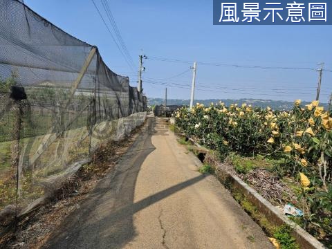 新社農地				 台中市新社區大南段大南小段