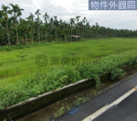 內埔豐田最美庄邊小農地(分管) 地形漂亮好規劃 屏東縣內埔鄉新埔段