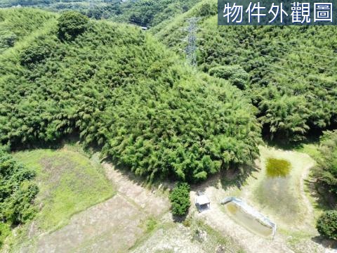 專任銅鑼鄉新雞隆段超大環湖農林山坡保育地 苗栗縣銅鑼鄉新雞隆段