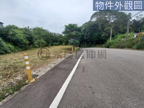 近龍潭804醫院正8米員東路一般農地 桃園市大溪區員東路