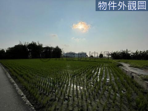 清水超大農地 台中市清水區菁埔南段