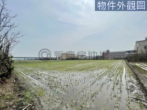 大安濱海樂園景點旁大面寬方正農地 台中市大安區安劃段