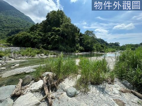 🍃緊鄰水源地風景優美萬坪原保農地🍃 花蓮縣秀林鄉下水源段