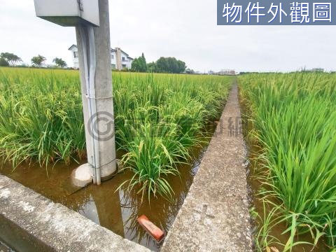 斗南158乙縣道旁大面寬有水、有電方正農地 雲林縣斗南鎮東仁段