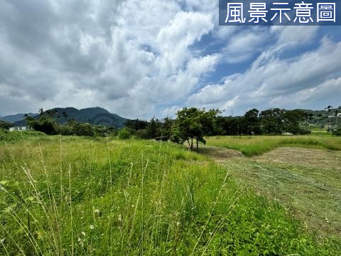 新竹橫山田洋路大面寬農地 新竹縣橫山鄉田洋段