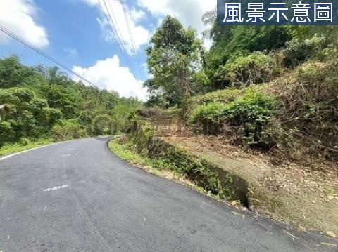 鹿谷鄉初鄉段中村巷臨路4.1甲林業用地 南投縣鹿谷鄉初鄉段