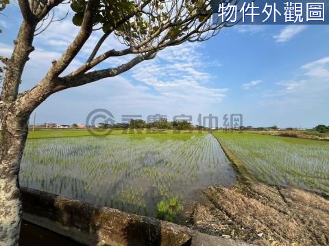 礁溪塭底路上持分農地 宜蘭縣礁溪鄉朝陽段