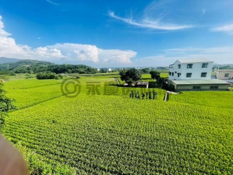 苗栗苑裡農地 苗栗縣苑裡鎮石頭坑段