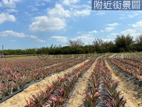 歸仁沙崙段近高鐵一般農地 台南市歸仁區沙崙段