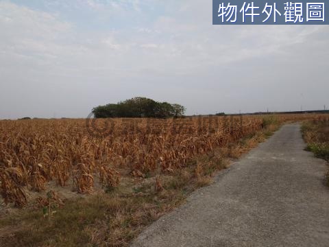 新秀才段河川區農牧用地 台南市新營區新秀才段