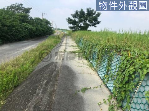 後塘國小旁便宜農保地 台南市後壁區菁豐段