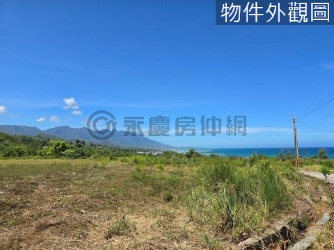 🌵台東長濱烏石鼻無敵海景適合露營區景觀農地 台東縣長濱鄉烏石鼻段