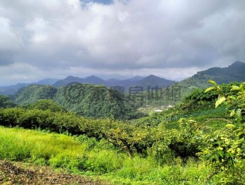 新社樂活農地Fl誠實房仲，成就第一 台中市新社區水底寮段上水底寮小段