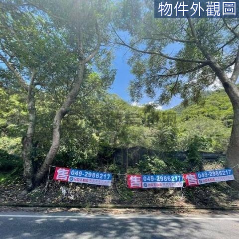 西塔山景觀大農地 南投縣埔里鎮西塔山段