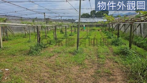 ✨山城新社｜花海旁地勢平坦好規劃美農地 台中市新社區大南段大南小段